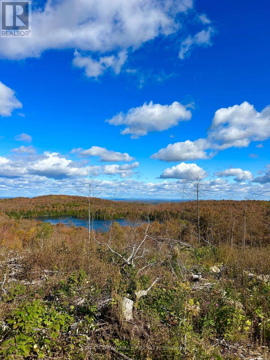 00 Rosien Road, Bonnechere Valley, Ontario  K0J 1T0 - Photo 11 - X13885222