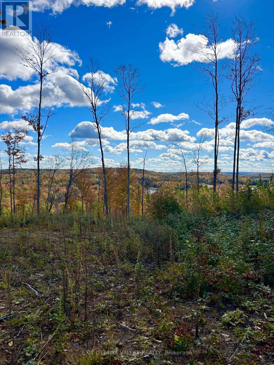 00 Rosien Road, Bonnechere Valley, Ontario  K0J 1T0 - Photo 12 - X13885222