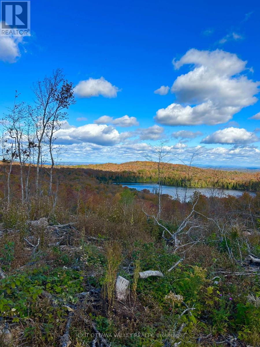 00 Rosien Road, Bonnechere Valley, Ontario  K0J 1T0 - Photo 8 - X13885222