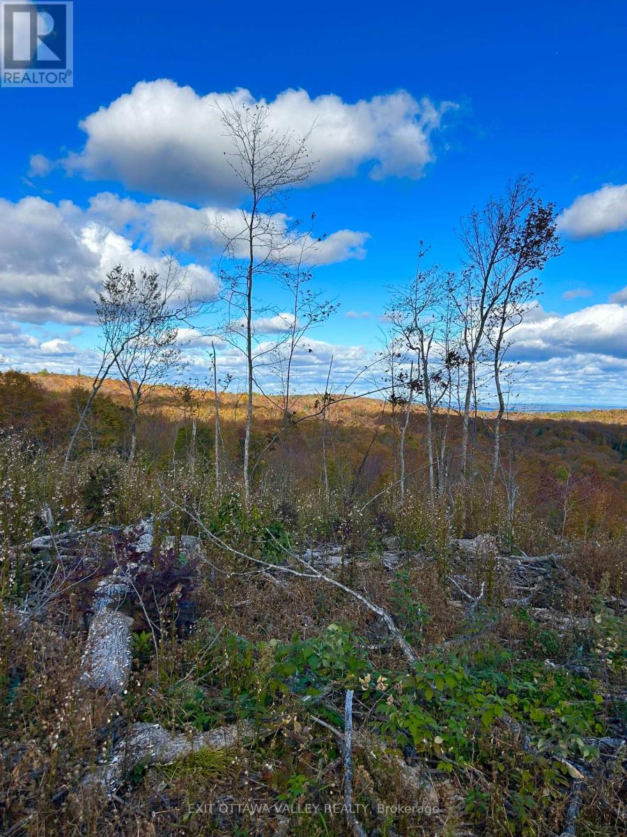 00 Rosien Road, Bonnechere Valley, Ontario  K0J 1T0 - Photo 9 - X13885222