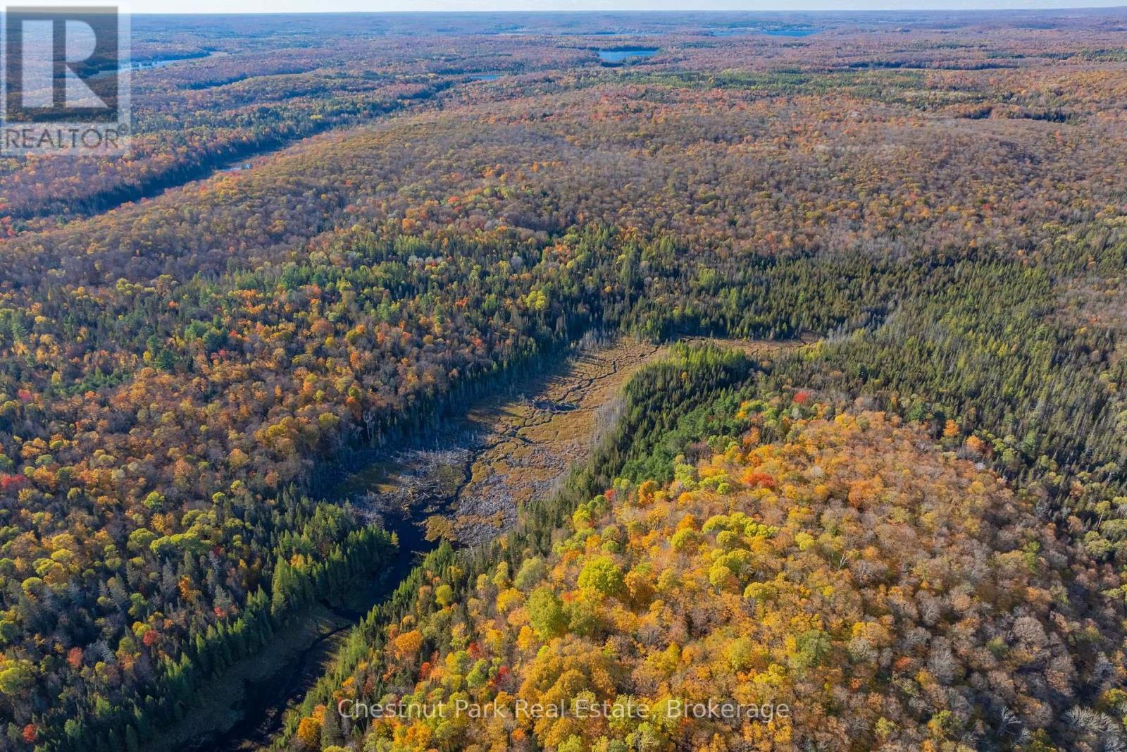 00 Old Track Road, Perry, Ontario  P0A 1J0 - Photo 41 - X13884974