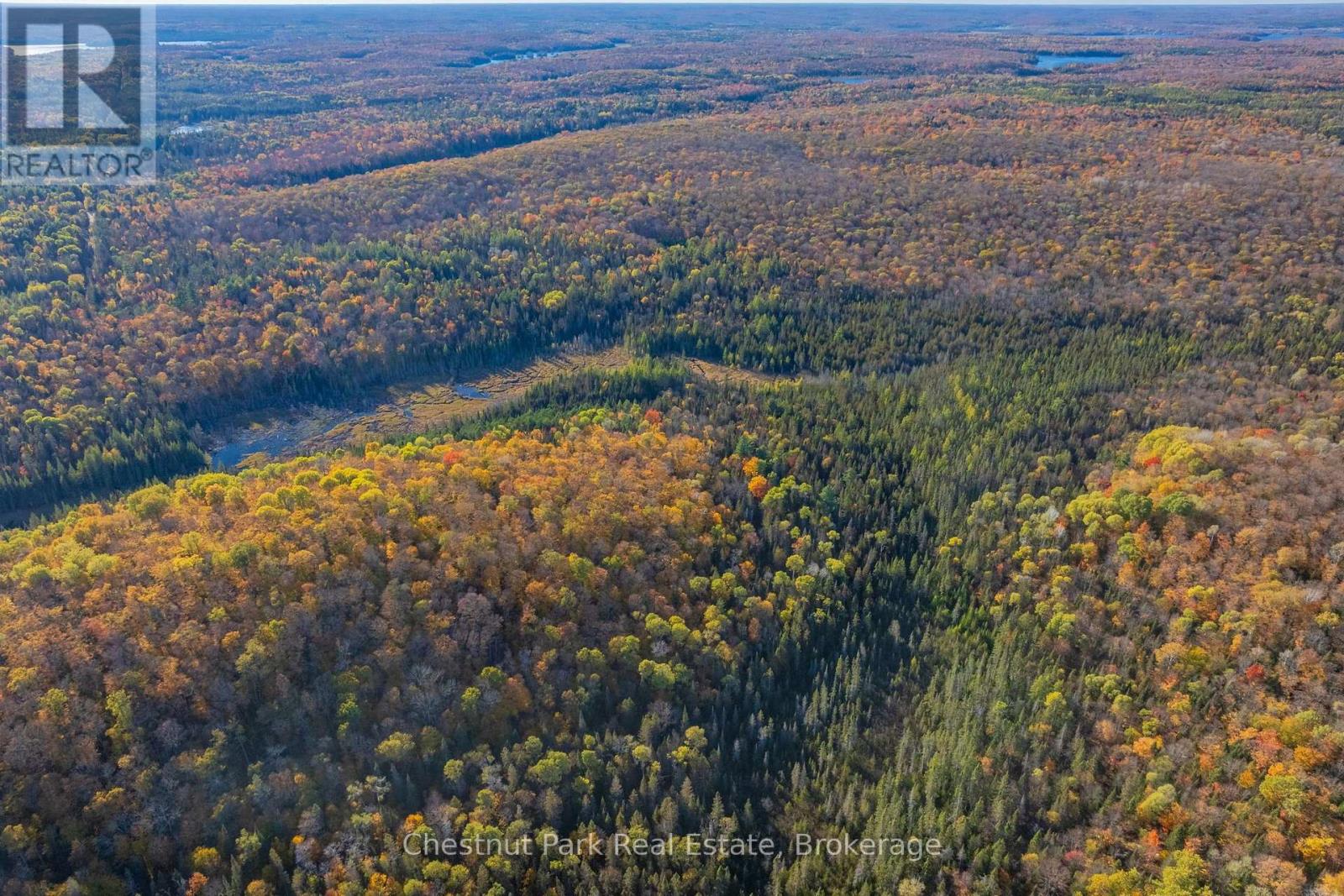 00 Old Track Road, Perry, Ontario  P0A 1J0 - Photo 43 - X13884974