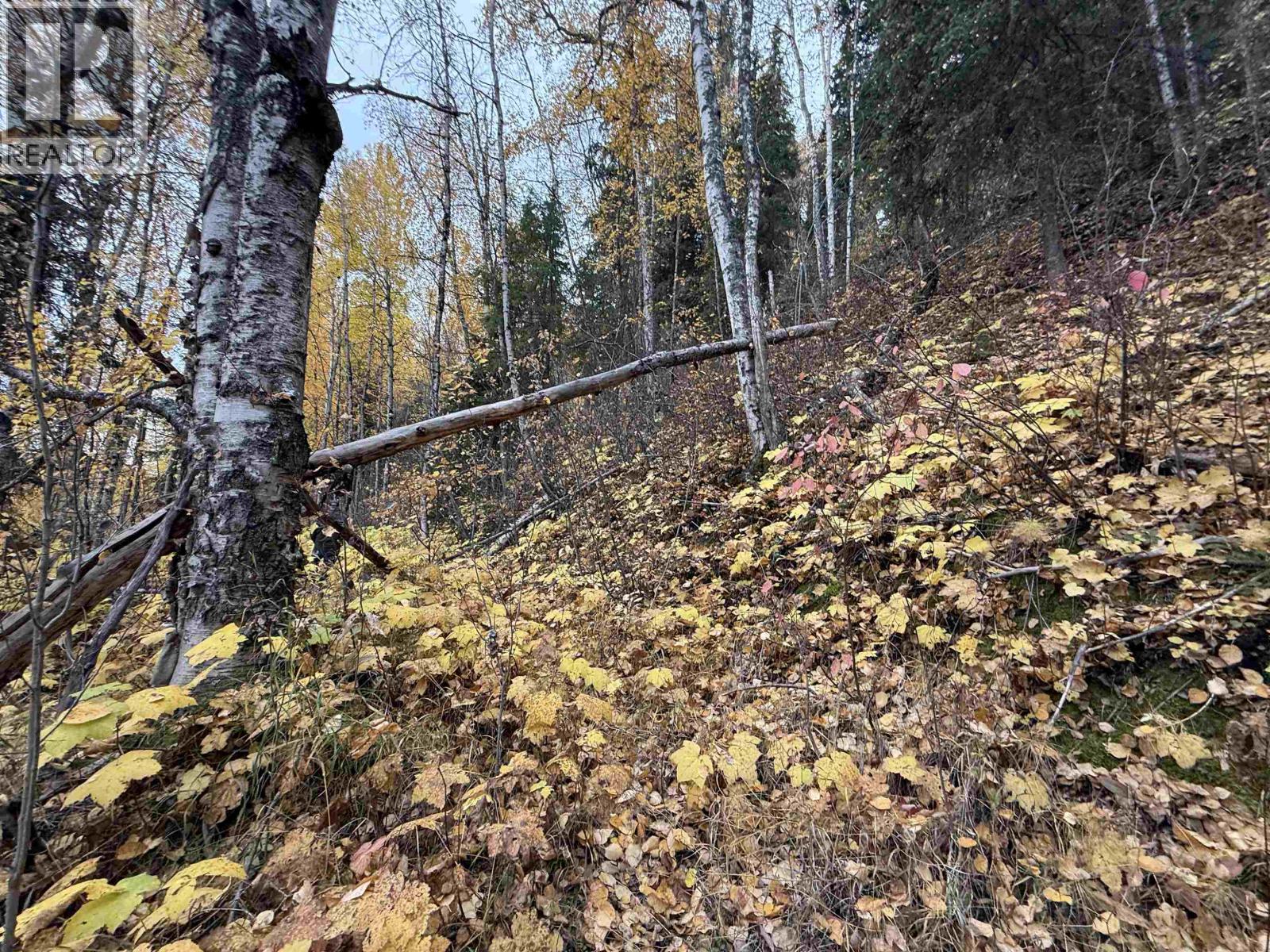 Lot 6 Francess Drive, Quesnel, British Columbia  V2J 6H6 - Photo 7 - R3161483