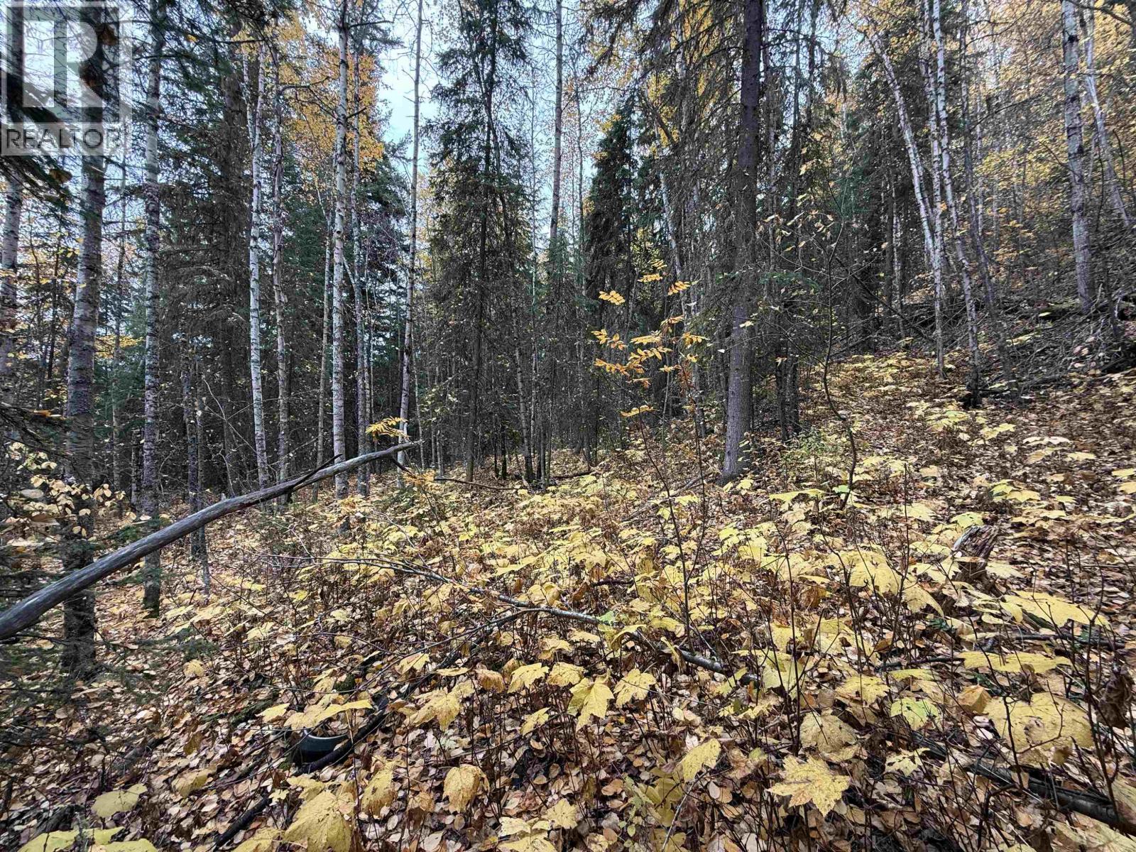 Lot 6 Francess Drive, Quesnel, British Columbia  V2J 6H6 - Photo 5 - R3161483