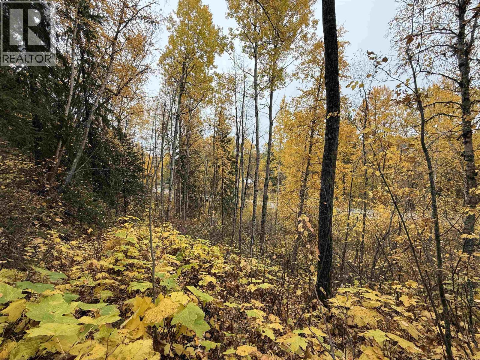 Lot 6 Francess Drive, Quesnel, British Columbia  V2J 6H6 - Photo 8 - R3161483