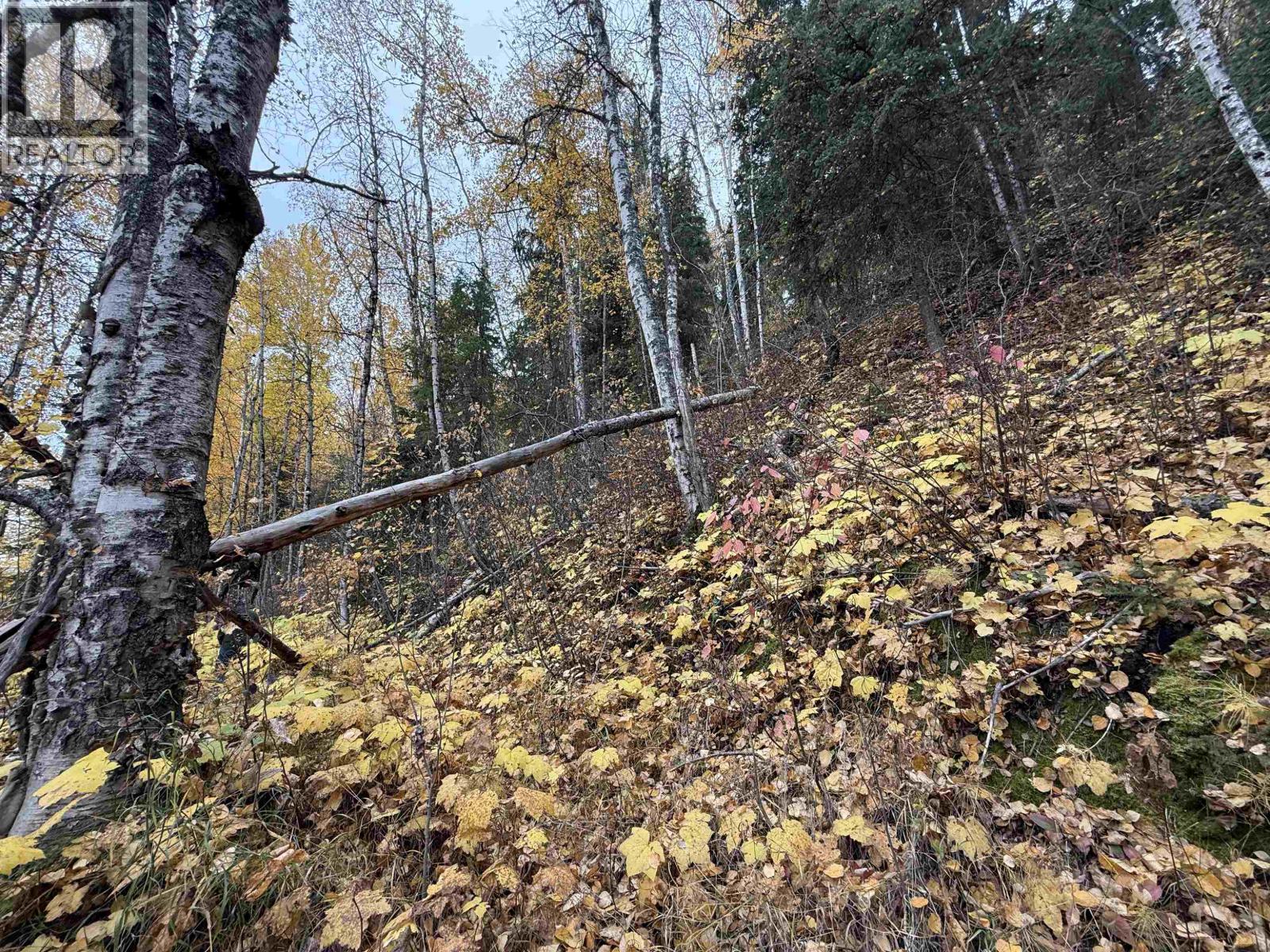 Lot 6 Francess Drive, Quesnel, British Columbia  V2J 6H6 - Photo 9 - R3161483