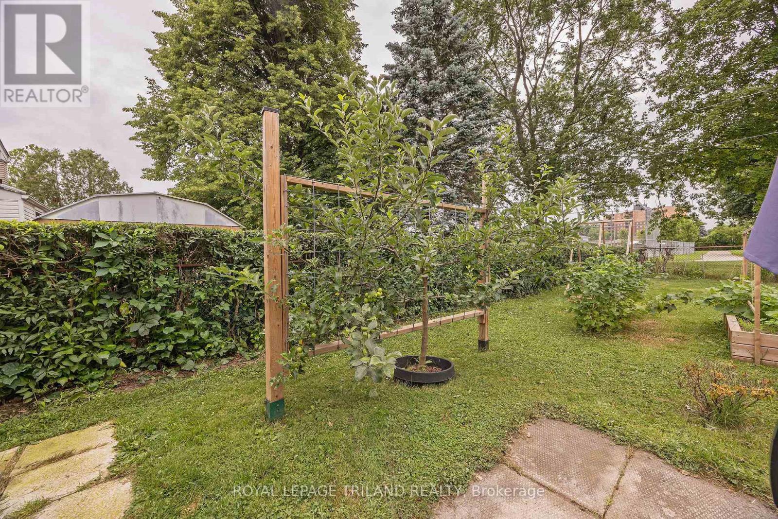 15 Confederation Drive, St. Thomas, Ontario  N5P 3P1 - Photo 29 - X13808778
