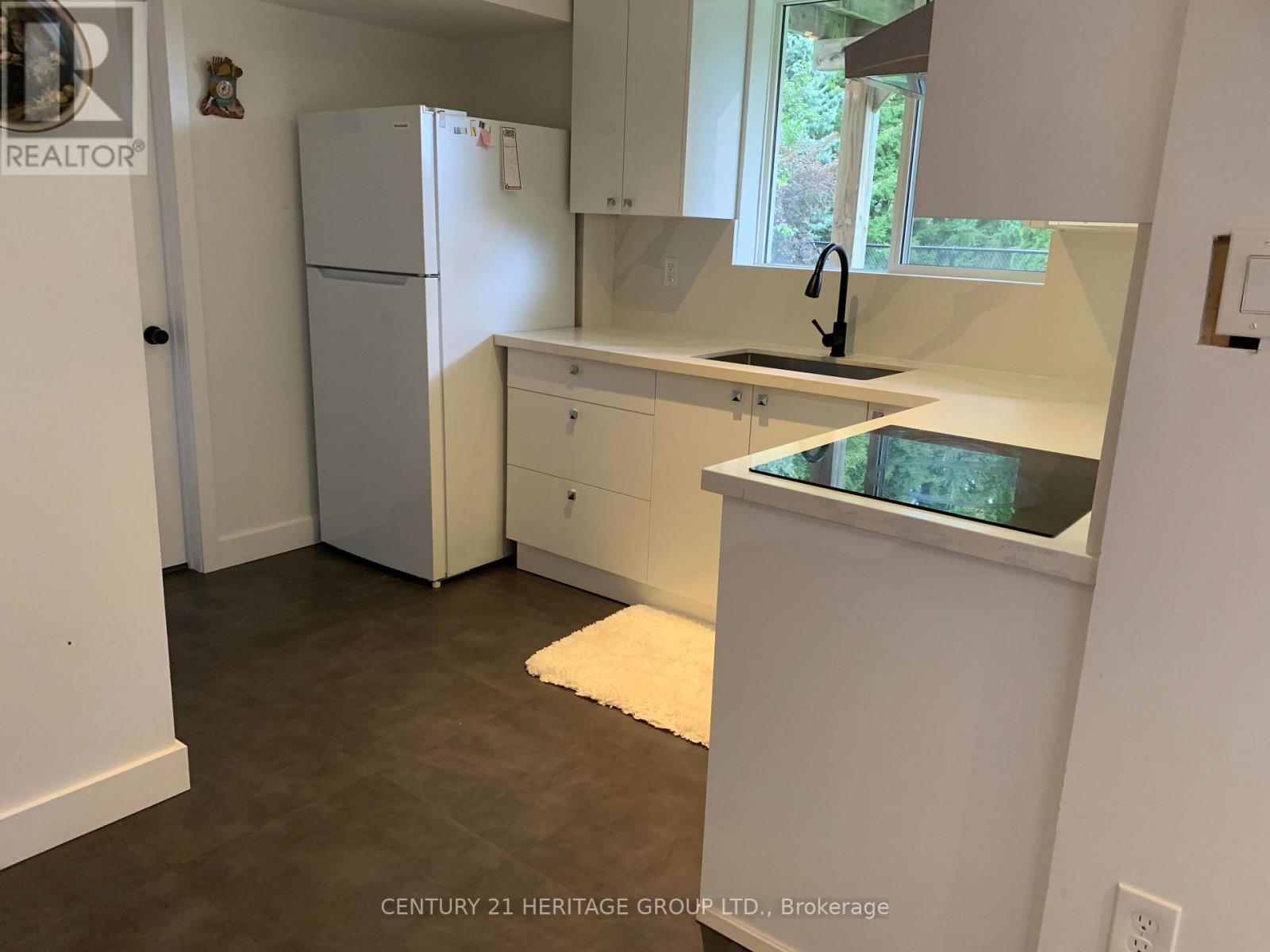 Walk-Out Basement - 337 Carruthers Avenue, Newmarket, Ontario  L3X 2B7 - Photo 10 - N13885686