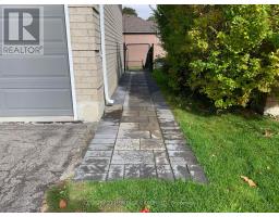 WALK-OUT BASEMENT - 337 CARRUTHERS AVENUE, Newmarket, Ontario