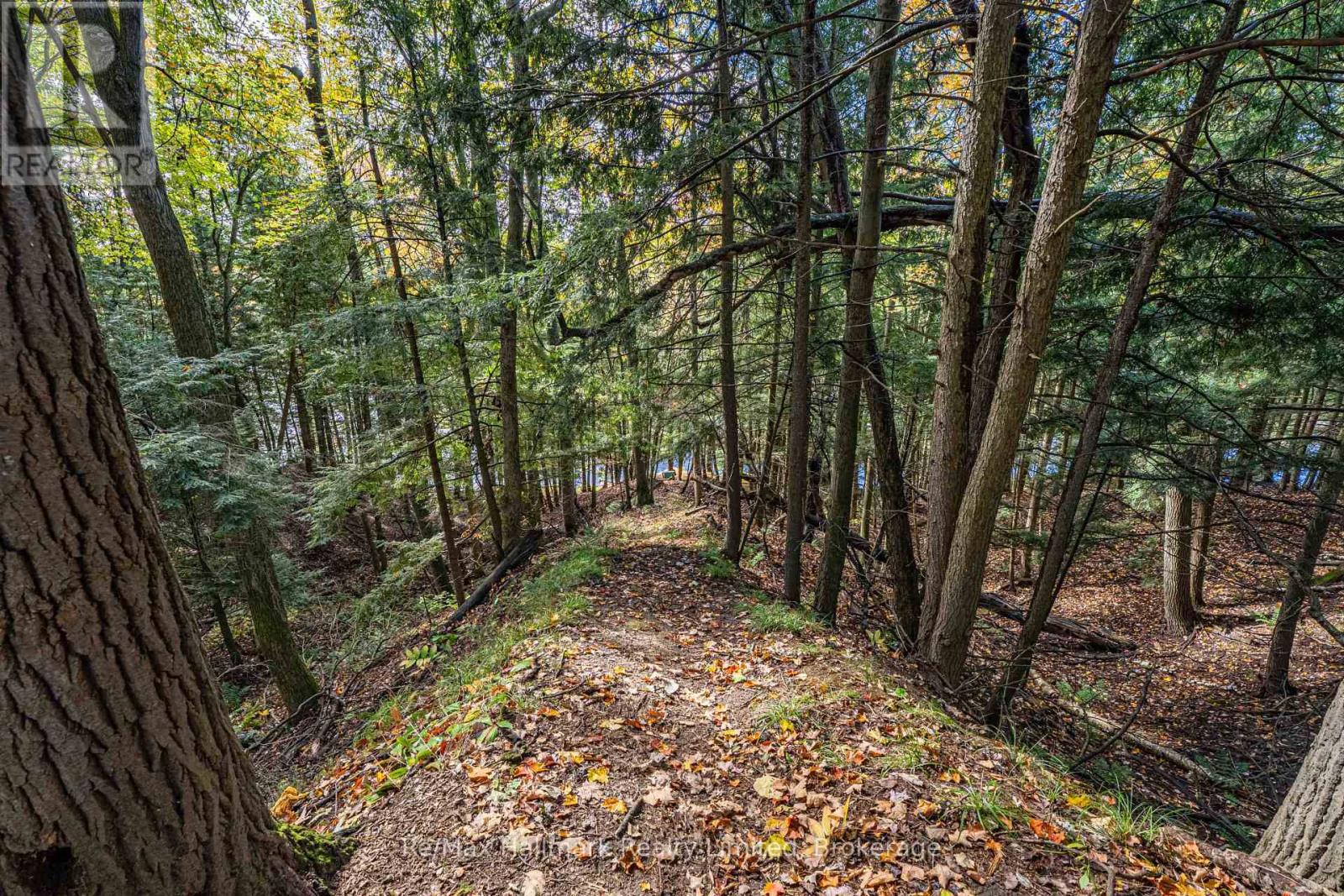 140 Woodward Street, Bracebridge, Ontario  P1L 1K4 - Photo 45 - X13885970
