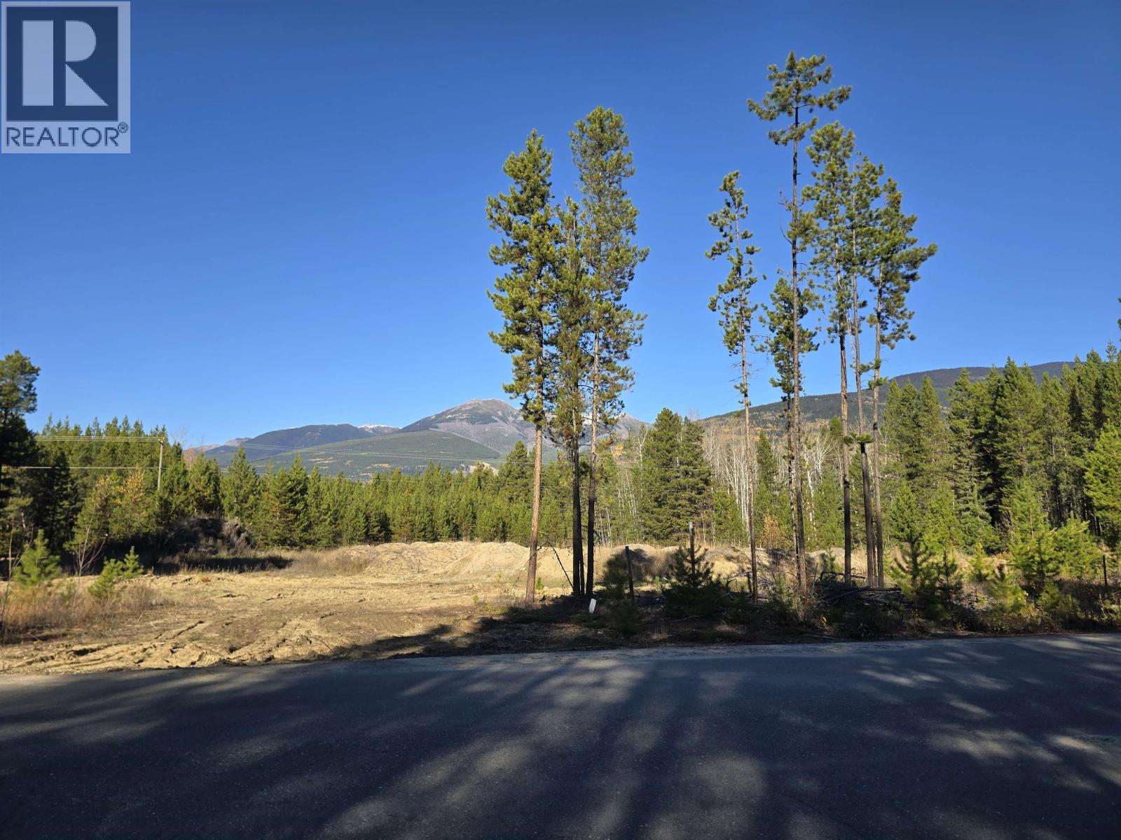 1075 18th Avenue, Valemount, British Columbia  V0E 2Z0 - Photo 3 - R3172618