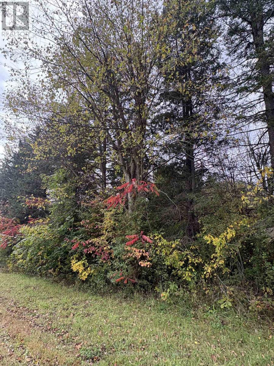 N/A GLEN ROY RD ROAD, South Glengarry, Ontario
