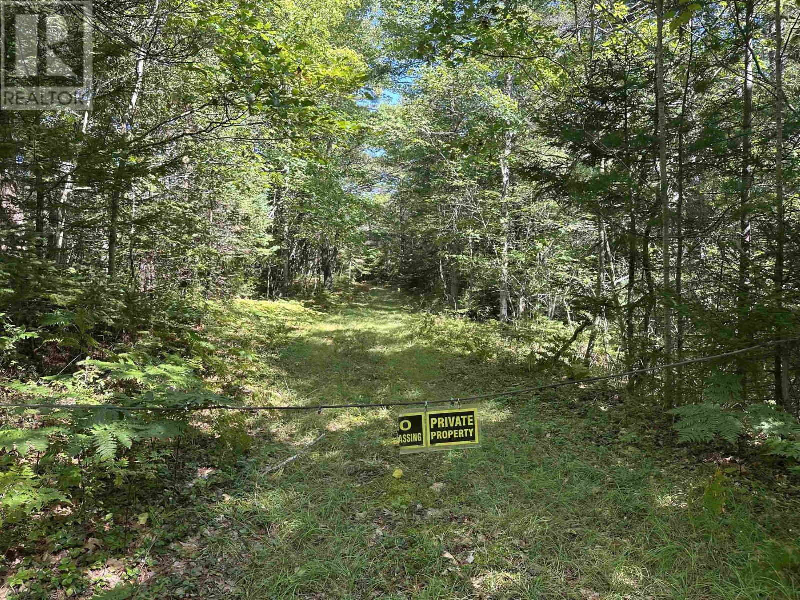 3 Highway 308 N, East Quinan, Nova Scotia  B0W 3M0 - Photo 29 - 202625245
