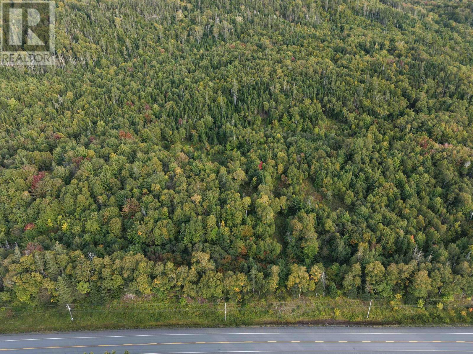 Highway 105, Englishtown, Nova Scotia  B0E 1B0 - Photo 24 - 202625503