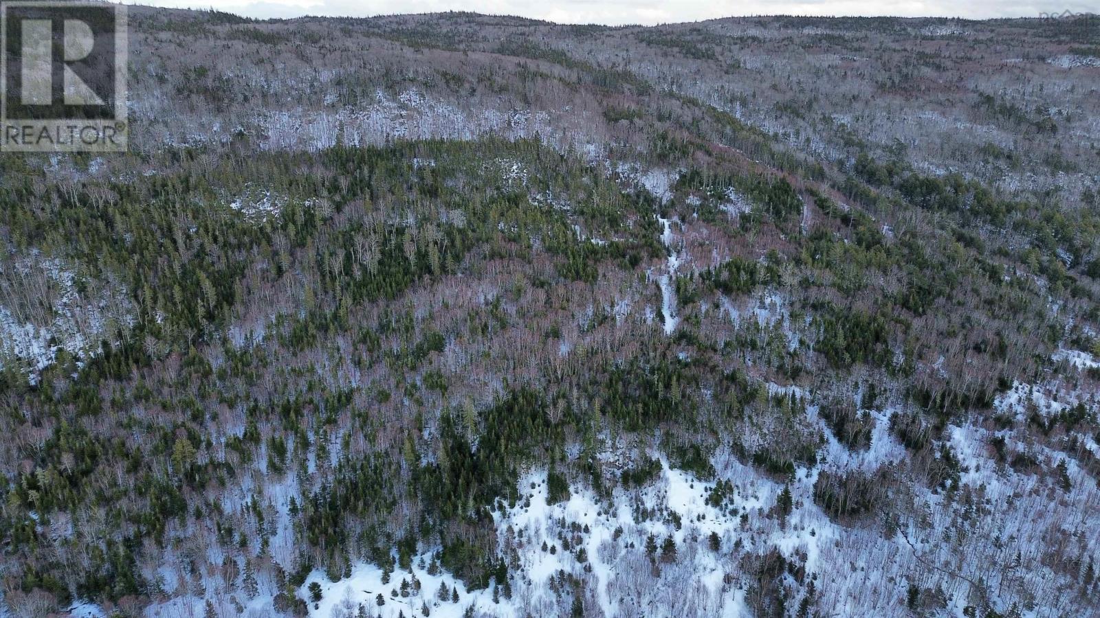 Highway 105, Englishtown, Nova Scotia  B0E 1B0 - Photo 30 - 202625503