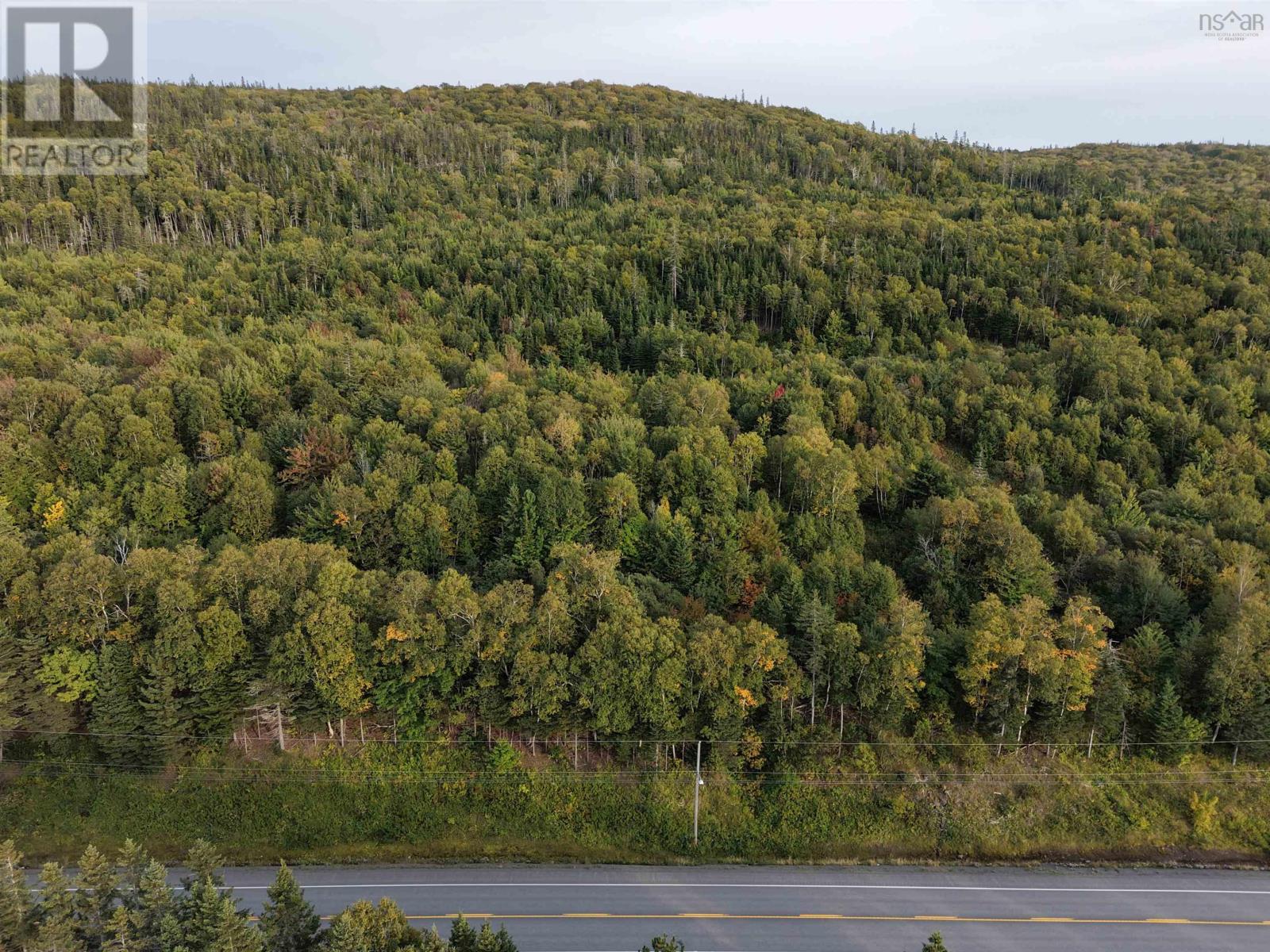 Highway 105, Englishtown, Nova Scotia  B0E 1B0 - Photo 5 - 202625503