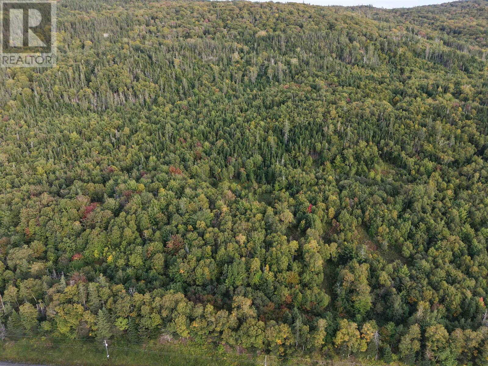 Highway 105, Englishtown, Nova Scotia  B0E 1B0 - Photo 23 - 202625503