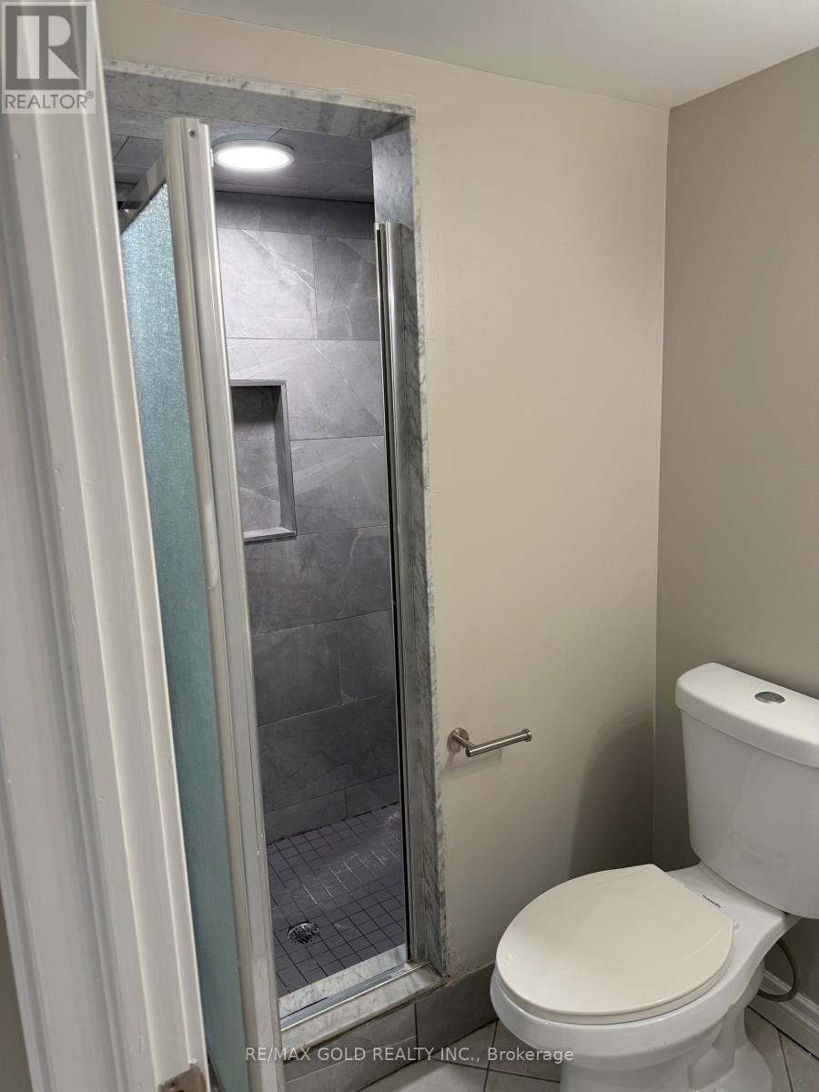 Basement - 41 Mountainberry Road, Brampton, Ontario  L6R 1J3 - Photo 6 - W13886514