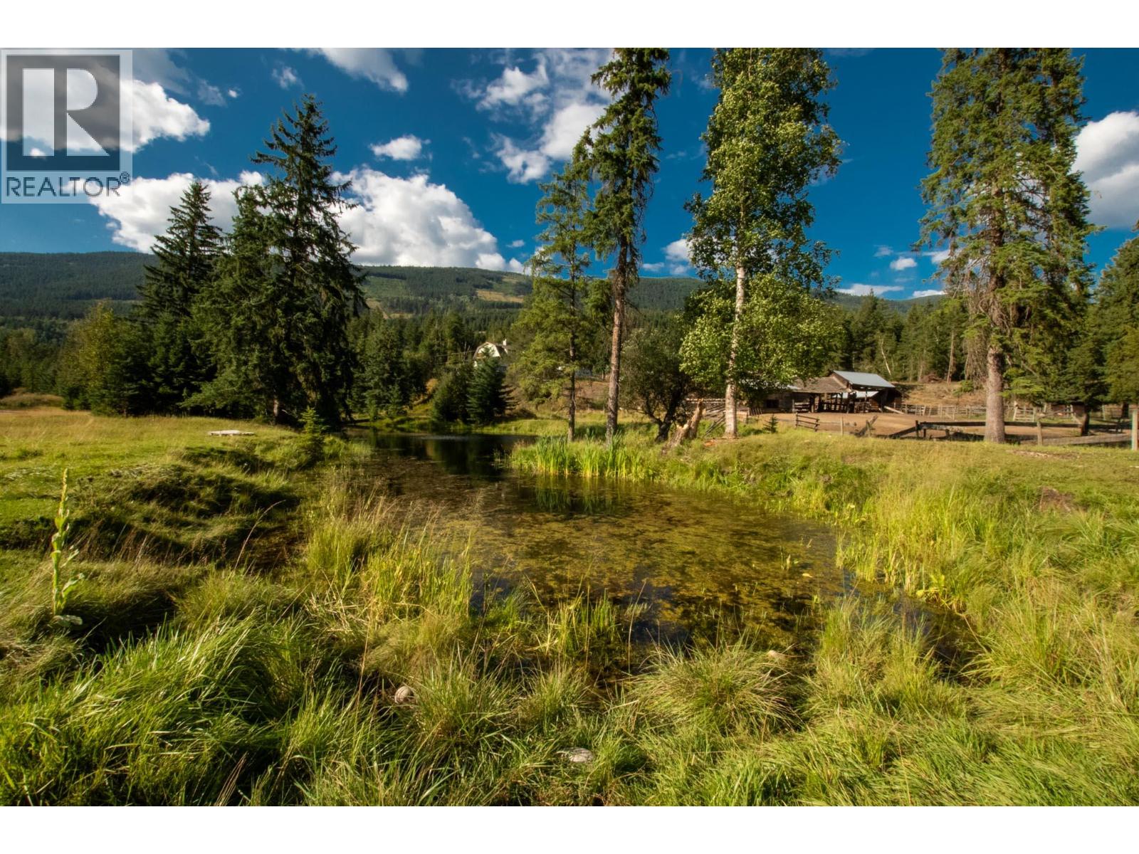 2460 Pye Road Road, Clearwater, British Columbia  V0E 1N1 - Photo 44 - 10397742