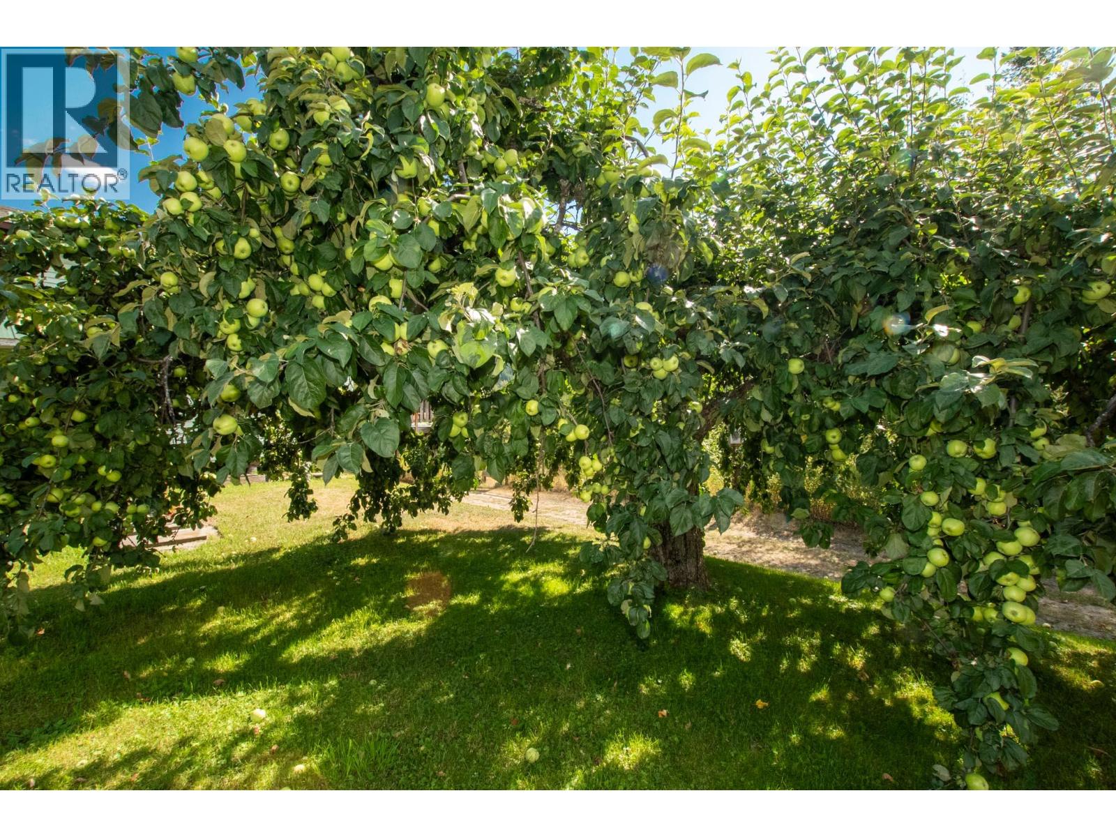 2460 Pye Road Road, Clearwater, British Columbia  V0E 1N1 - Photo 69 - 10397742