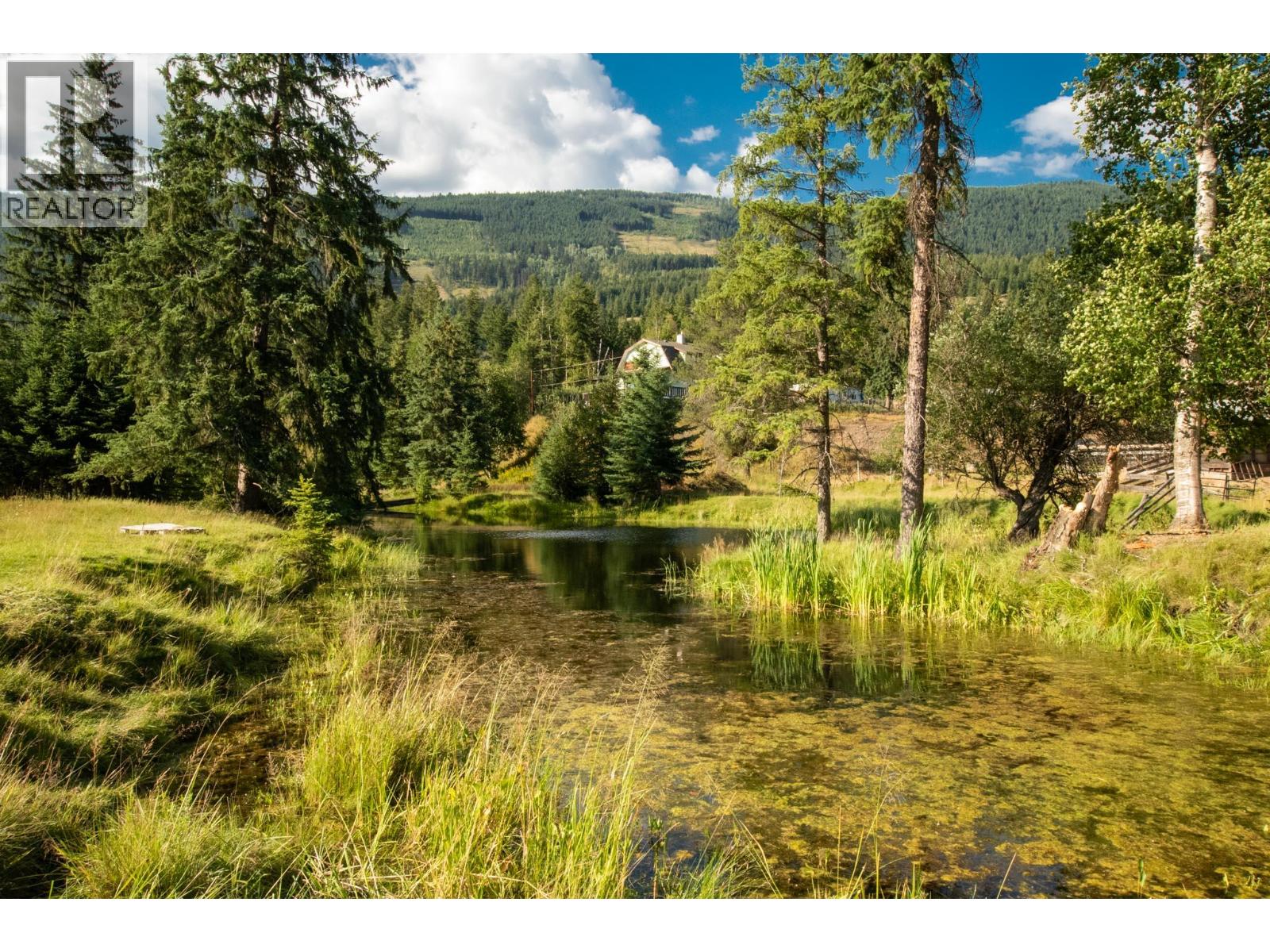 2460 Pye Road Road, Clearwater, British Columbia  V0E 1N1 - Photo 43 - 10397742
