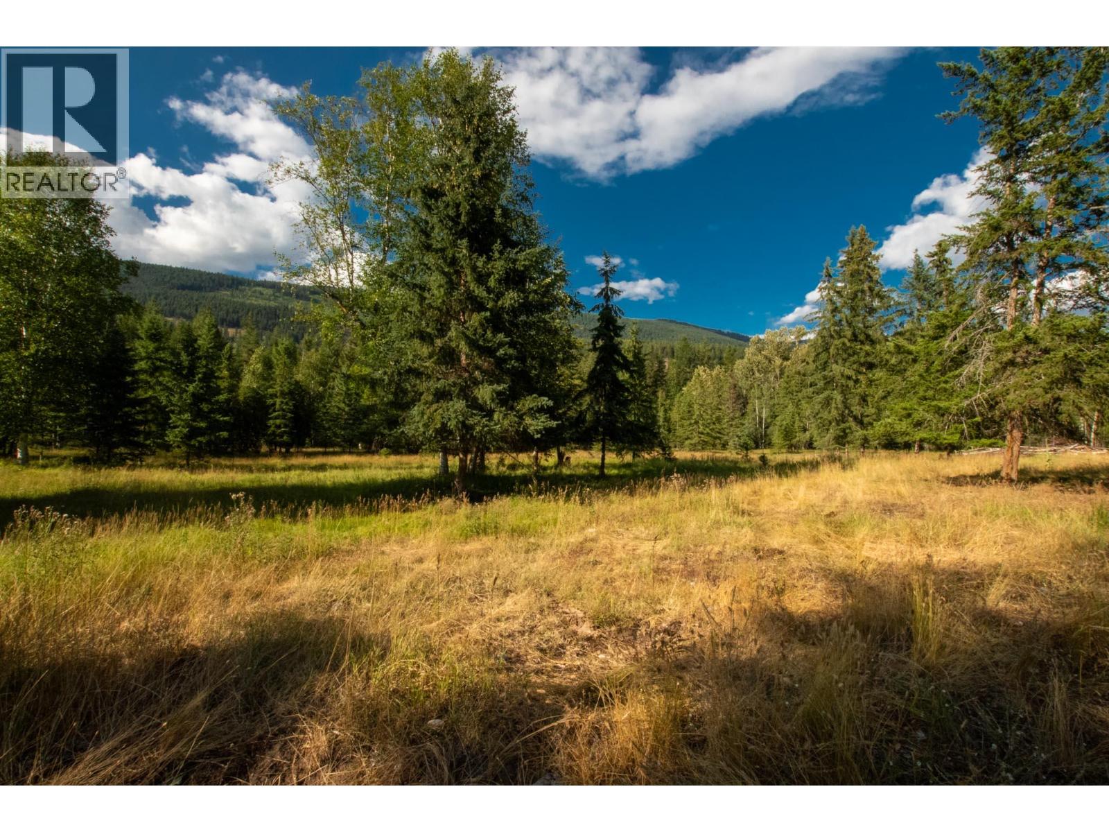 2460 Pye Road Road, Clearwater, British Columbia  V0E 1N1 - Photo 39 - 10397742