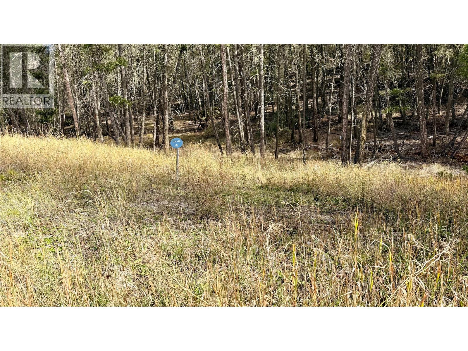 Lot 44 Mountain View Drive, Fairmont Hot Springs, British Columbia