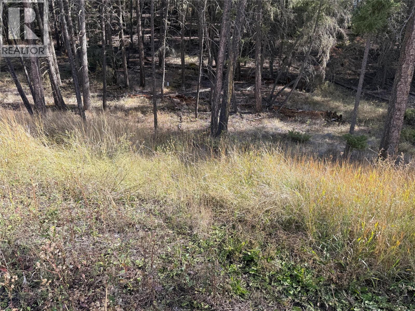 Lot 44 Mountain View Drive, Fairmont Hot Springs, British Columbia  V0B 1L1 - Photo 13 - 10403076