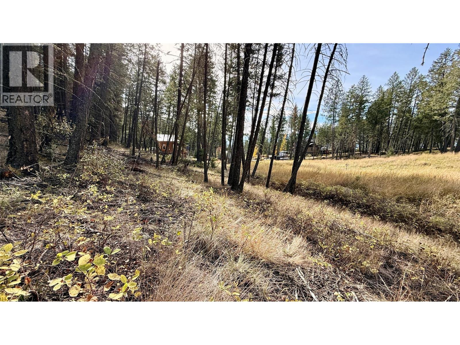 Lot 44 Mountain View Drive, Fairmont Hot Springs, British Columbia  V0B 1L1 - Photo 17 - 10403076