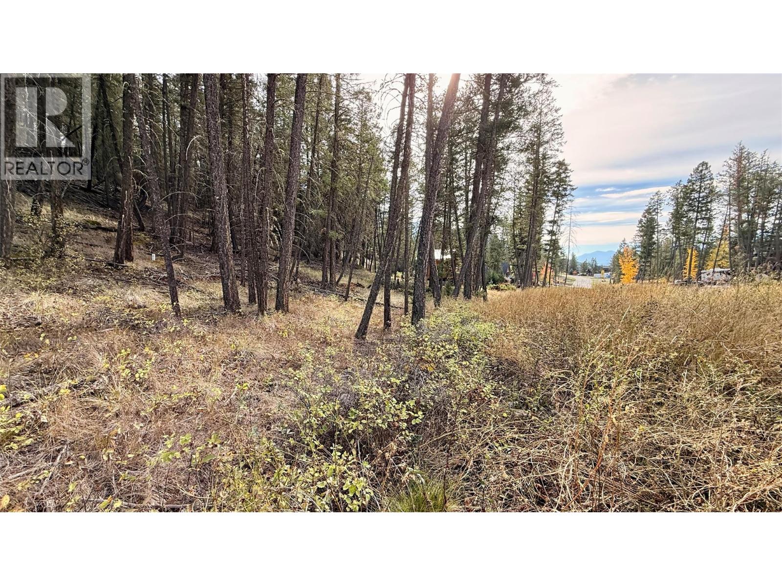 Lot 44 Mountain View Drive, Fairmont Hot Springs, British Columbia  V0B 1L1 - Photo 15 - 10403076