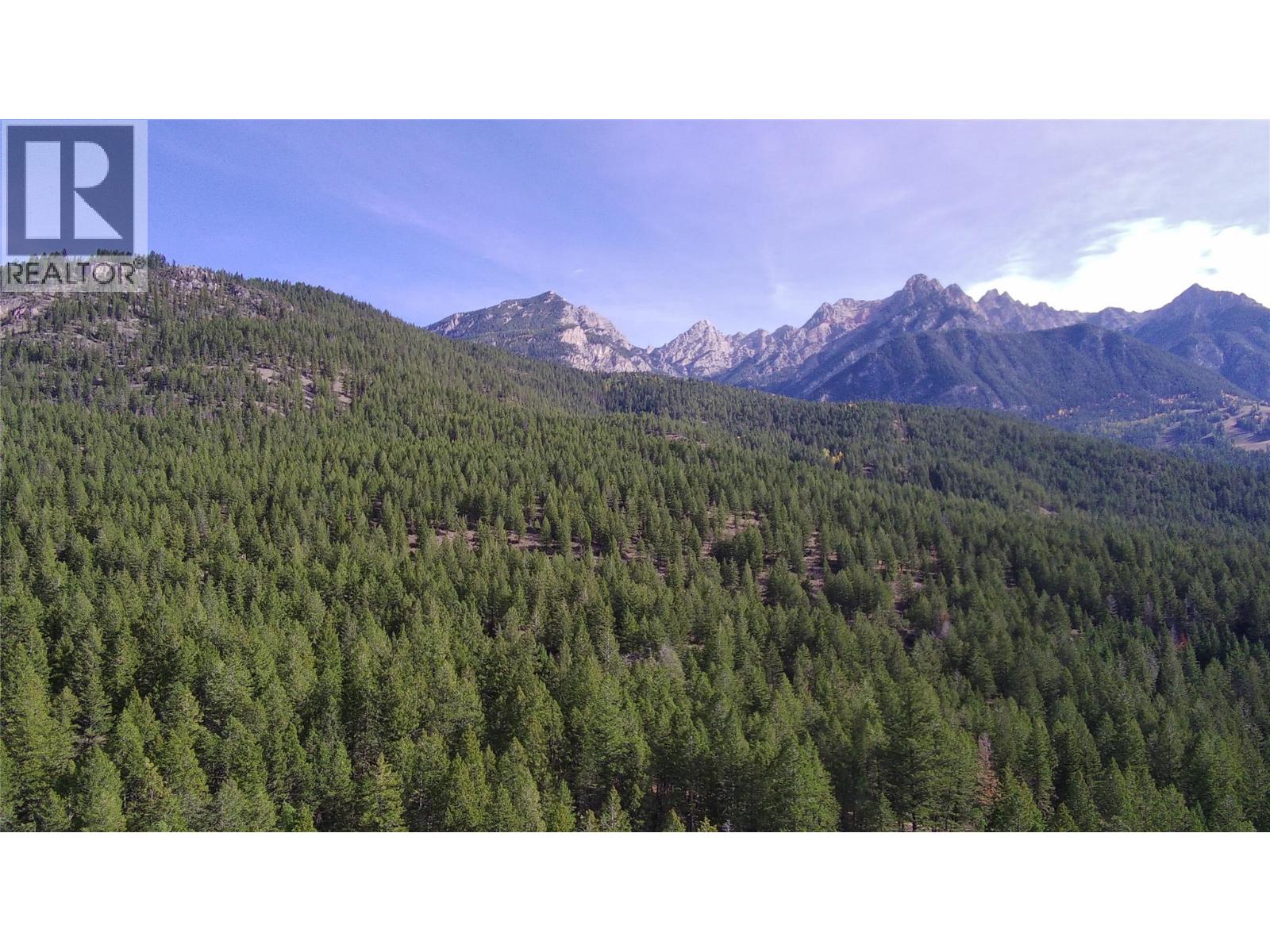 Lot 44 Mountain View Drive, Fairmont Hot Springs, British Columbia  V0B 1L1 - Photo 10 - 10403076