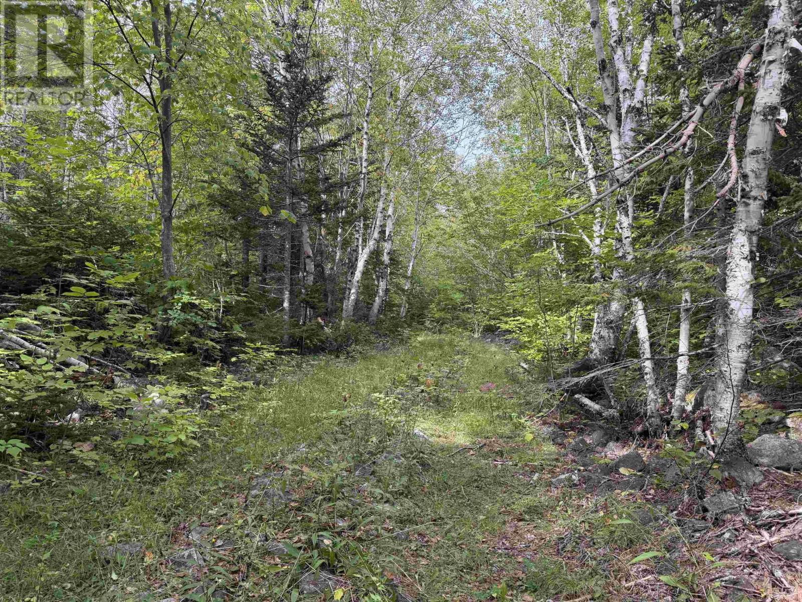 101 Millbrook Road, Wreck Cove, Nova Scotia  B0C 1H0 - Photo 39 - 202624932