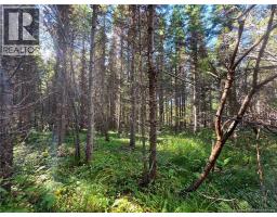 LOT 25-3 Mulligan Road, Fundy, New Brunswick