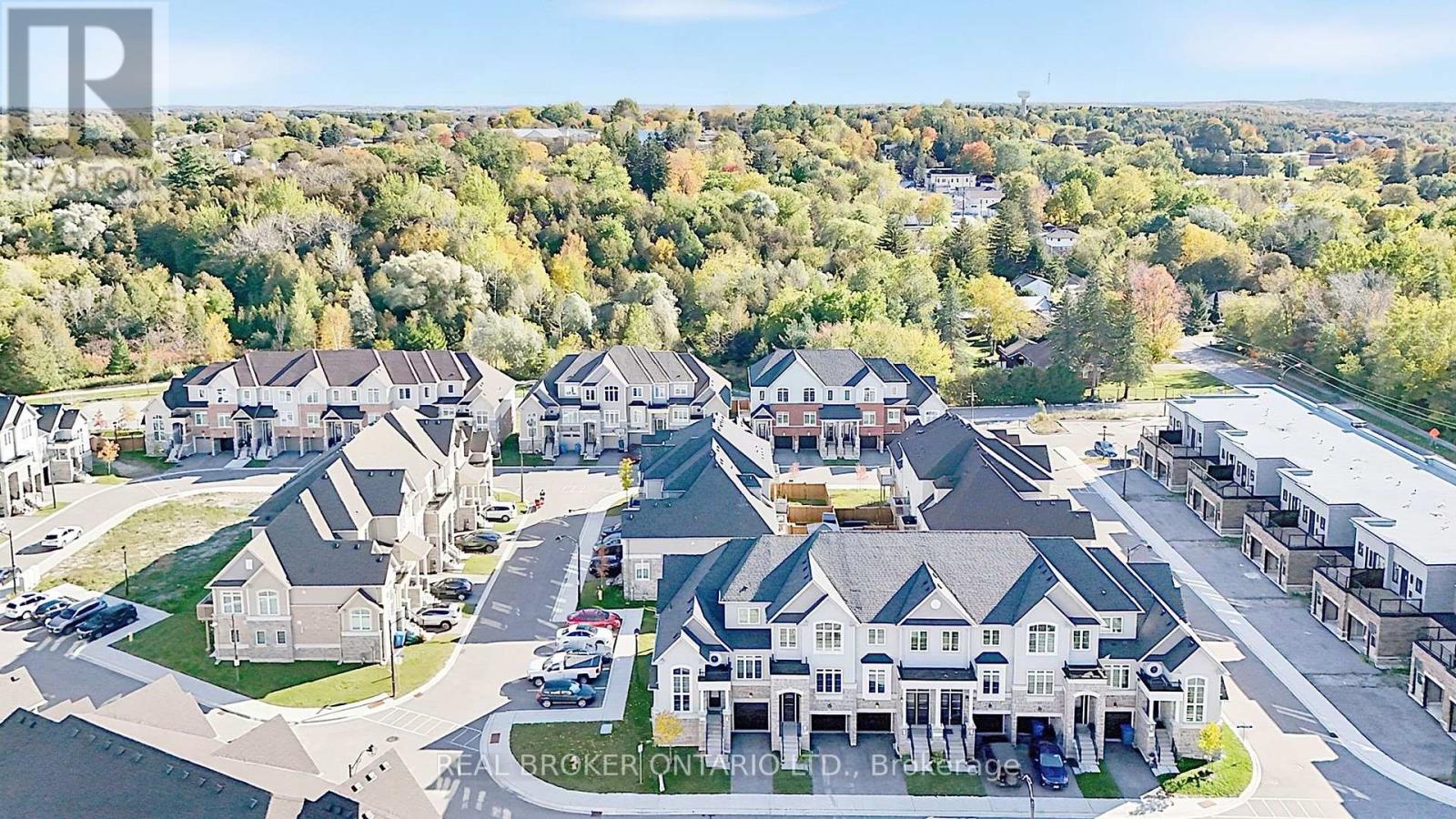 31 Lyall Stokes Circle, East Gwillimbury, Ontario  L0G 1M0 - Photo 29 - N14004116