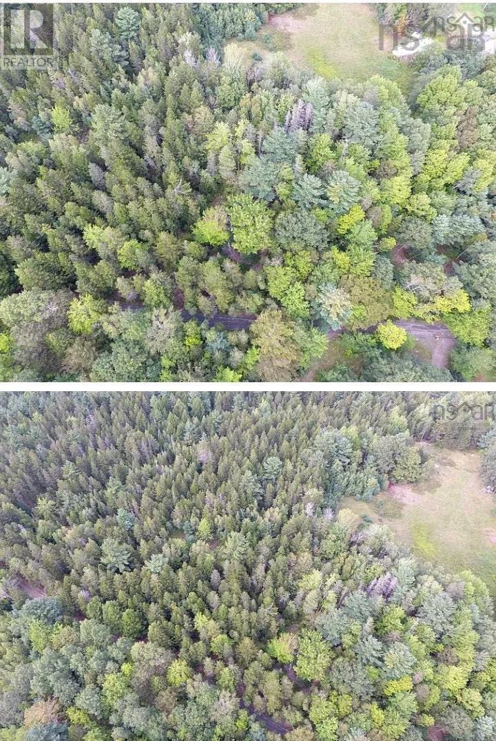 Lot 1 Headline Road, Lower Cornwall, Nova Scotia  B0J 2E0 - Photo 3 - 202618694