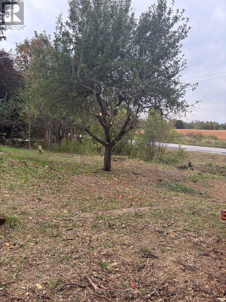 14273 4th Line, Halton Hills, Ontario  L7J 2L8 - Photo 3 - W14003904