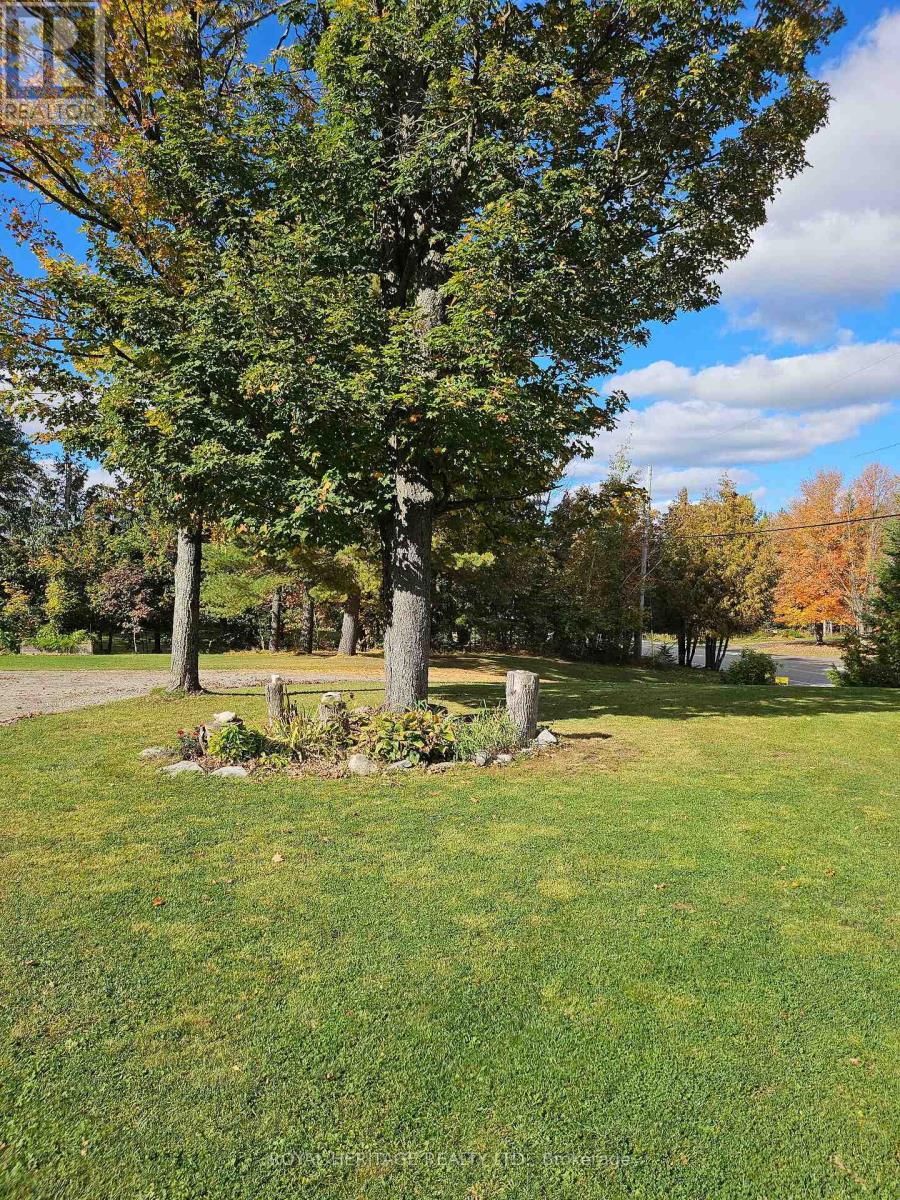 723 County Rd 49 Road, Kawartha Lakes, Ontario  K0M 1A0 - Photo 5 - X14004146