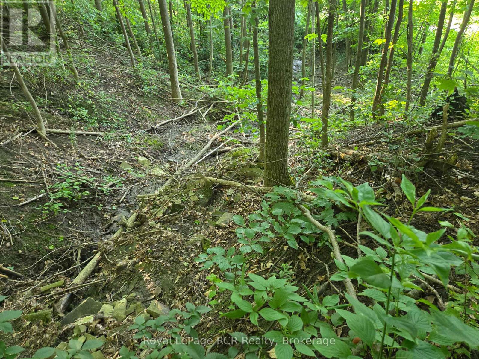 130 Old Highway 26 Highway, Meaford, Ontario  N4L 1W7 - Photo 2 - X12461821