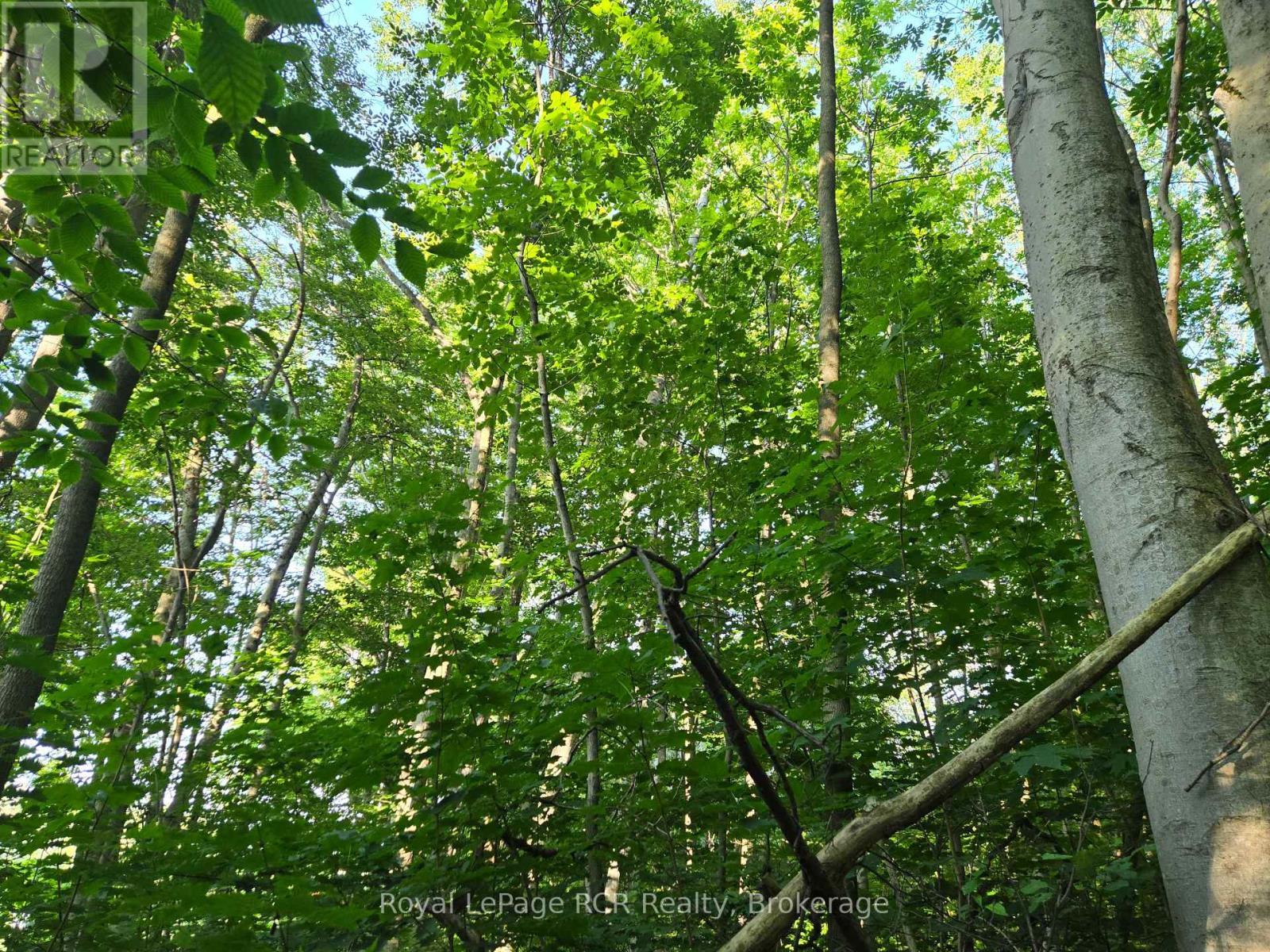 130 Old Highway 26 Highway, Meaford, Ontario  N4L 1W7 - Photo 8 - X12461821