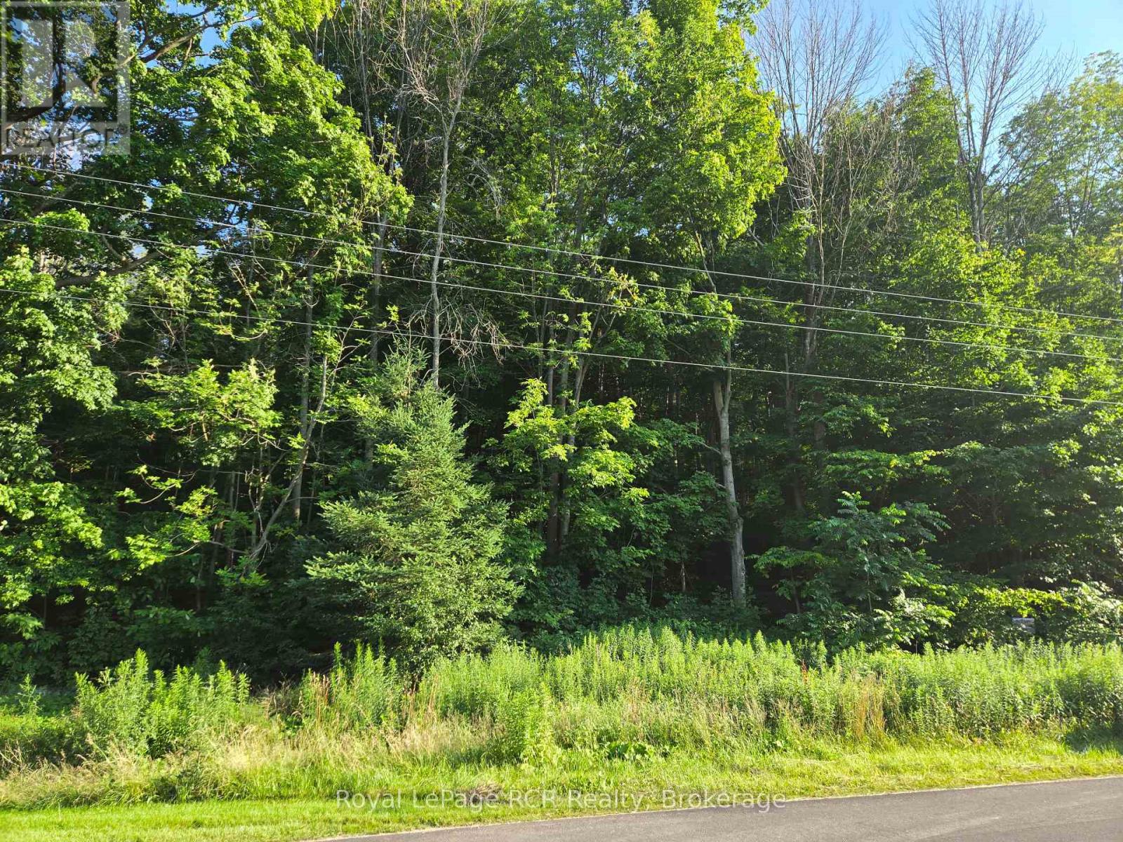 130 Old Highway 26 Highway, Meaford, Ontario  N4L 1W7 - Photo 9 - X12461821