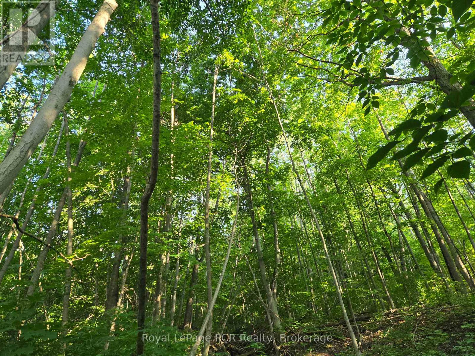 130 Old Highway 26 Highway, Meaford, Ontario  N4L 1W7 - Photo 6 - X12461821