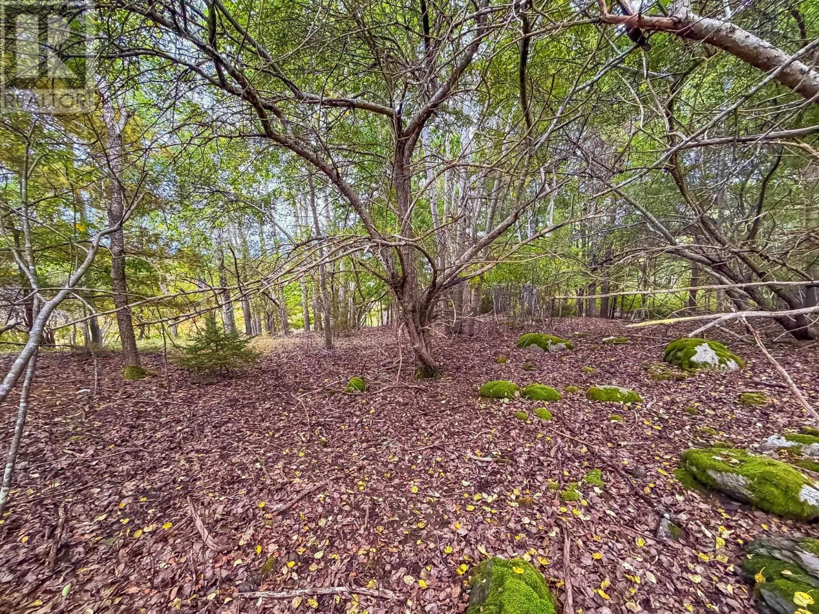 Lot 2 Martins Point Road, Martins Point, Nova Scotia  B0J 1T0 - Photo 6 - 202625520