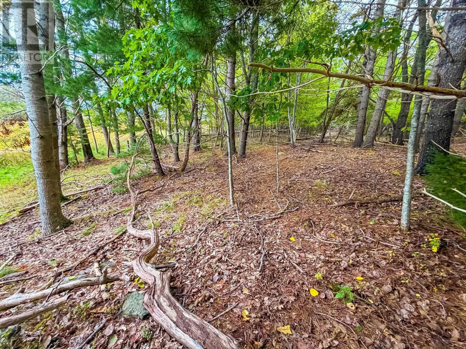 Lot 2 Martins Point Road, Martins Point, Nova Scotia  B0J 1T0 - Photo 8 - 202625520