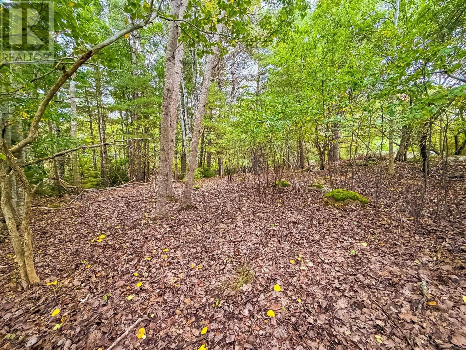 Lot 2 Martins Point Road, Martins Point, Nova Scotia  B0J 1T0 - Photo 7 - 202625520