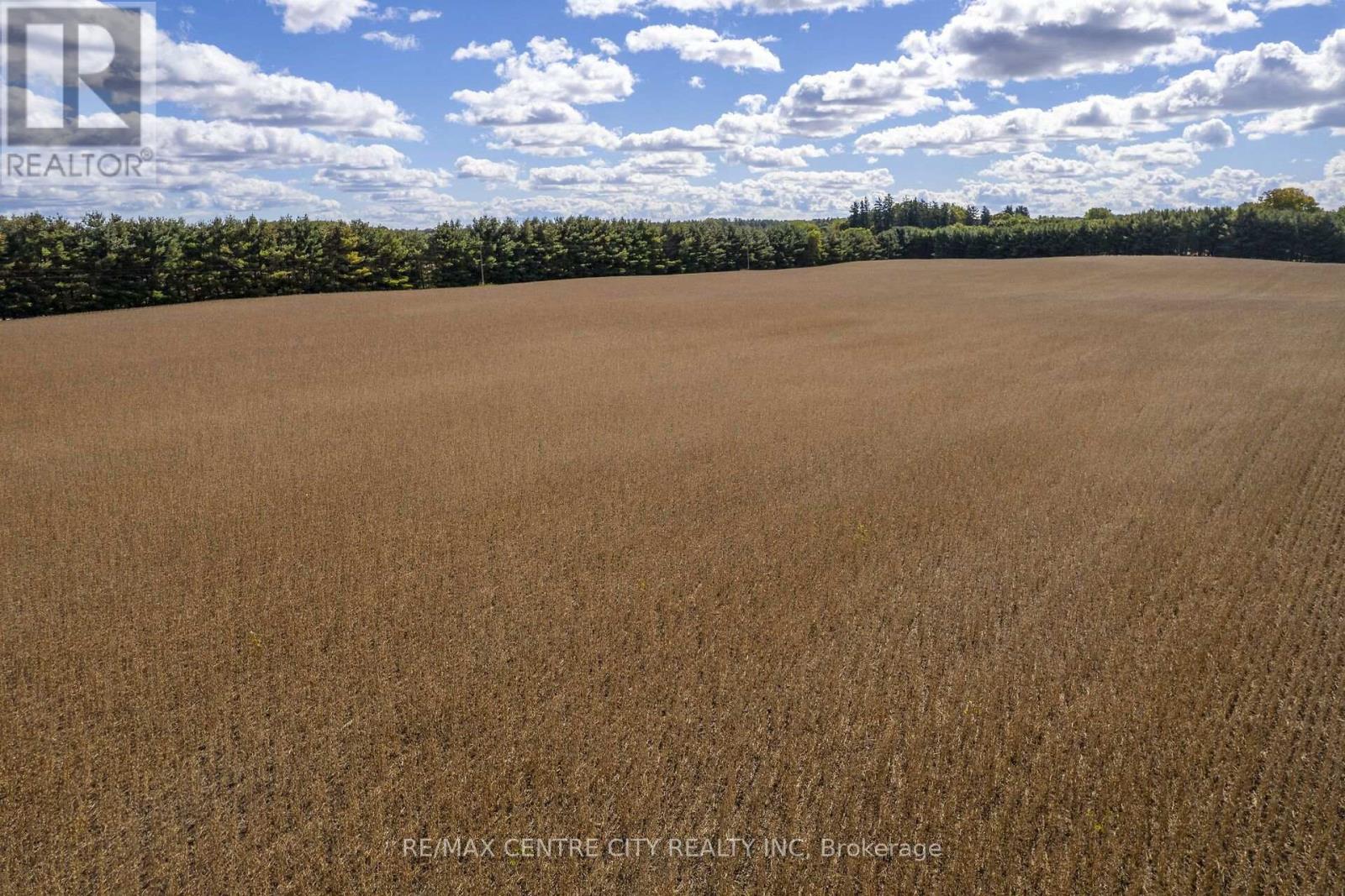 Pt Lt 113 Culloden Road, Bayham, Ontario  N0J 1H0 - Photo 20 - X14008860