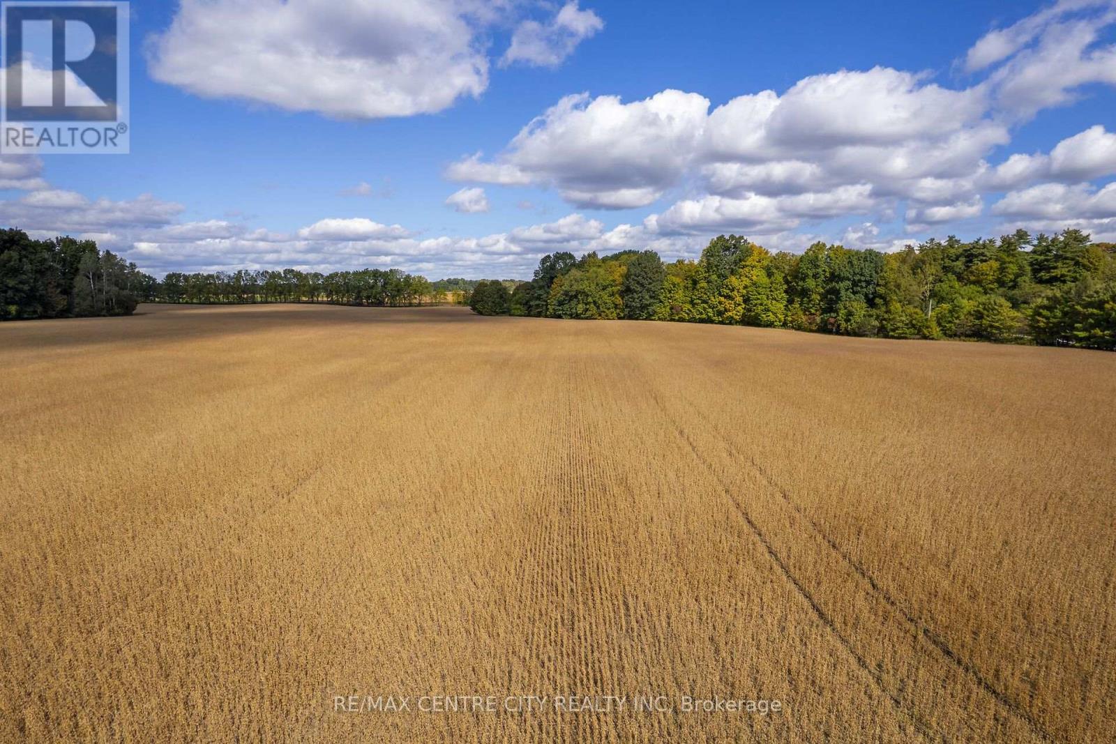 Pt Lt 113 Culloden Road, Bayham, Ontario  N0J 1H0 - Photo 28 - X14008860