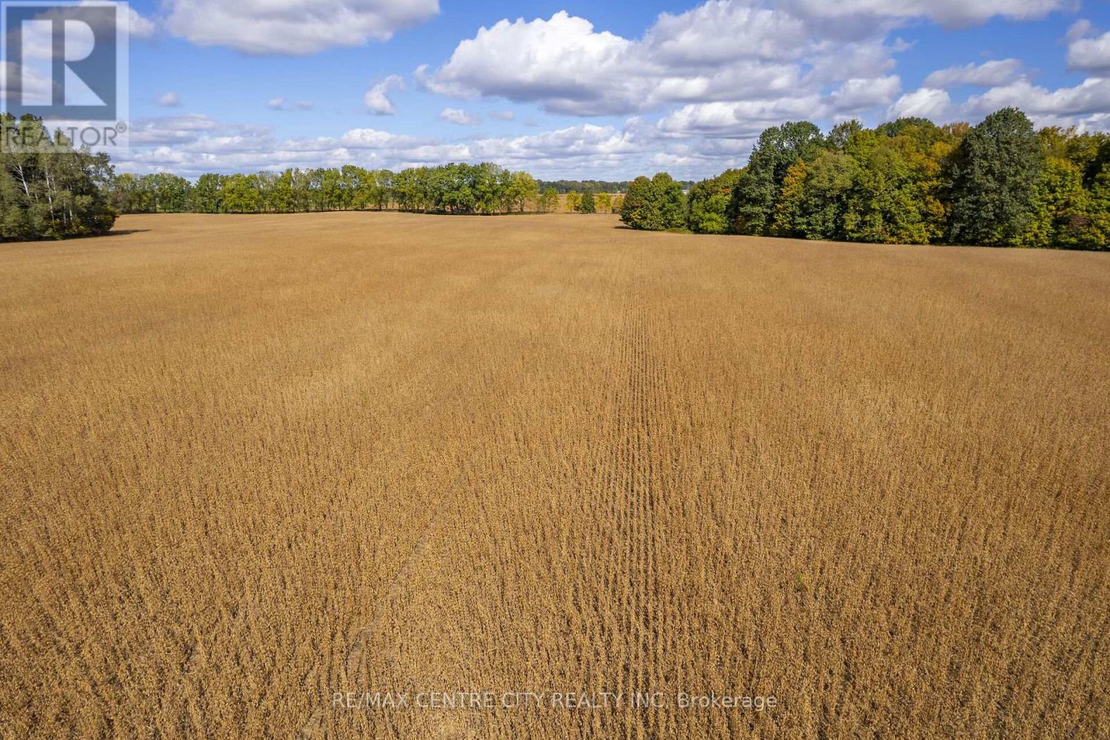 Pt Lt 113 Culloden Road, Bayham, Ontario  N0J 1H0 - Photo 21 - X14008880