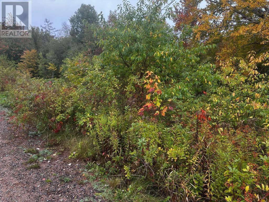 Lot Huntington Point Road, Halls Harbour, Nova Scotia  B0P 1J0 - Photo 3 - 202625151