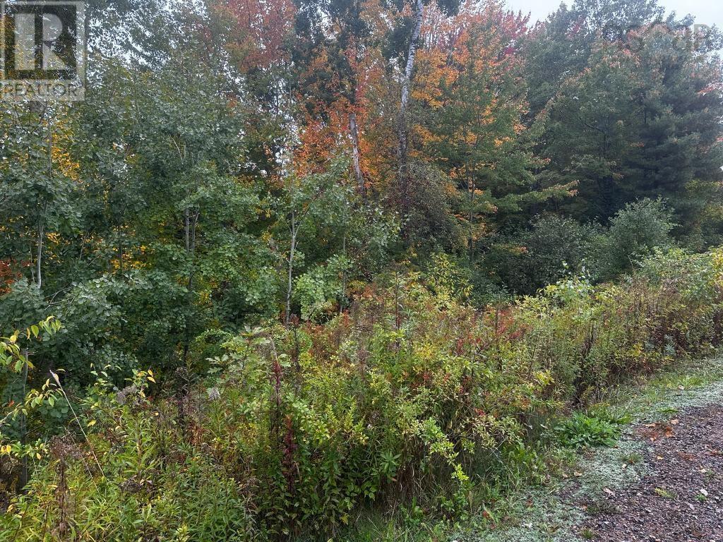Lot Huntington Point Road, Halls Harbour, Nova Scotia  B0P 1J0 - Photo 4 - 202625151