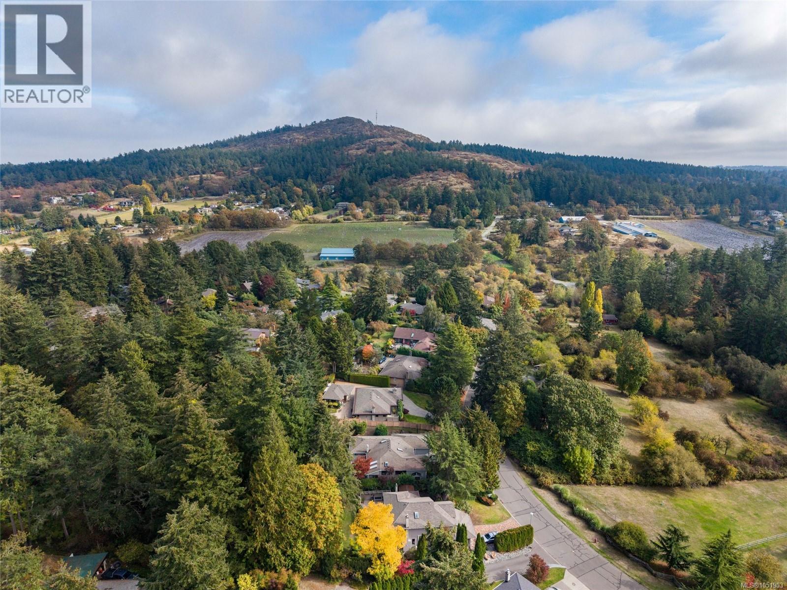 1089 Donwood Dr, Saanich, British Columbia  V8X 4G3 - Photo 40 - 1051903